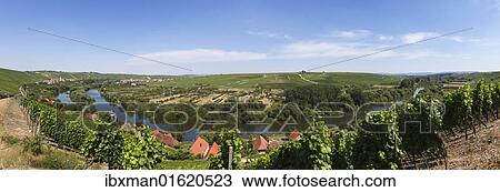 "Old Main River, view over the towns of Koehler, Escherndorf, left, and Nordheim am Main, Mainschleife, loop in the Main River, Mainfranken, Lower Franconia, Franconia, Bavaria, Germany, Europe" View Large Photo Image Stock Image - "Old Main River, view over the towns of Koehler, Escherndorf, left, and Nordheim am Main, Mainschleife, loop in the Main River, Mainfranken, Lower Franconia, Franconia, Bavaria, Germany, Europe". Fotosearch