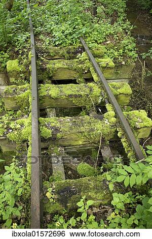 Old narrow-gauge railway tracks overgrown with moss and plants View Large Photo Image Stock Photograph - Old narrow-gauge railway tracks overgrown with moss and plants. Fotosearch