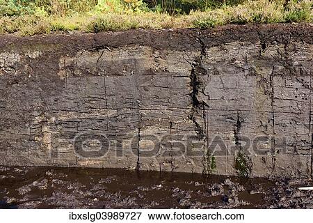 "Old peat dig with a large layer of turf, Grundbeckenmoor Rosenheim, near Raubling Upper Bavaria, Bavaria, Germany, Europe" View Large Photo Image Stock Photo - "Old peat dig with a large layer of turf, Grundbeckenmoor Rosenheim, near Raubling Upper Bavaria, Bavaria, Germany, Europe". Fotosearch