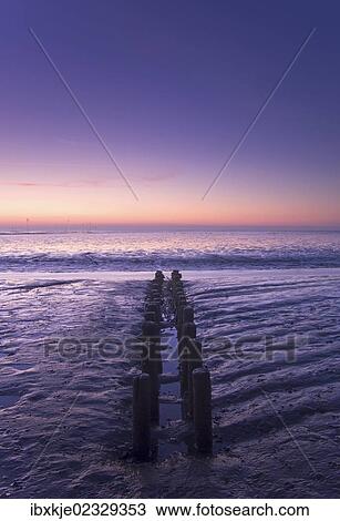 "Old wooden groyne in the Wadden Sea, North Sea, Spieka-Neufeld, Lower Saxony, Germany, Europe" View Large Photo Image Stock Image - "Old wooden groyne in the Wadden Sea, North Sea, Spieka-Neufeld, Lower Saxony, Germany, Europe". Fotosearch
