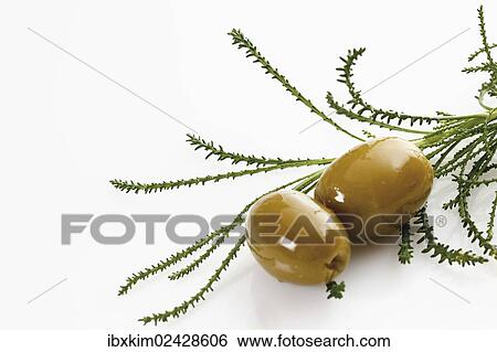 Stock Photograph - "Olives, olive herb". Fotosearch