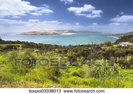 Stock Image - "Omapere and Hokianga Harbour, Omapere, Northland Region, New Zealand, Oceania". Fotosearch