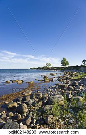 "On the coastal cliffs of Staberhuk, Fehmarn Island, Baltic Sea, Schleswig-Holstein, Germany, Europe" View Large Photo Image Stock Image - "On the coastal cliffs of Staberhuk, Fehmarn Island, Baltic Sea, Schleswig-Holstein, Germany, Europe". Fotosearch