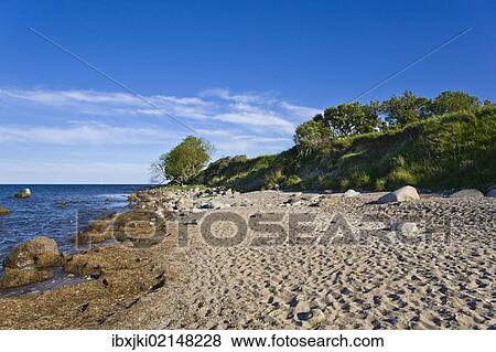 "On the coastal cliffs of Staberhuk, Fehmarn Island, Baltic Sea, Schleswig-Holstein, Germany, Europe" View Large Photo Image Stock Photo - "On the coastal cliffs of Staberhuk, Fehmarn Island, Baltic Sea, Schleswig-Holstein, Germany, Europe". Fotosearch