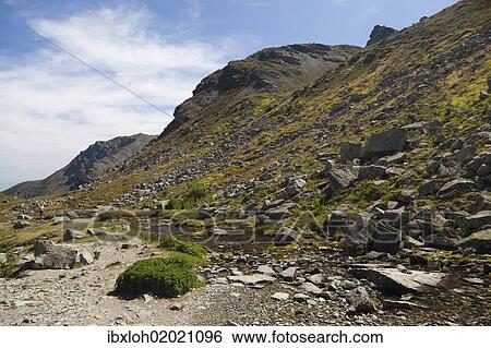 "On the Pian del Re, high plateau, source of the Po River, Cottian Alps, Cuneo, Piedmont, Italy, Europe" View Large Photo Image Stock Photograph - "On the Pian del Re, high plateau, source of the Po River, Cottian Alps, Cuneo, Piedmont, Italy, Europe". Fotosearch