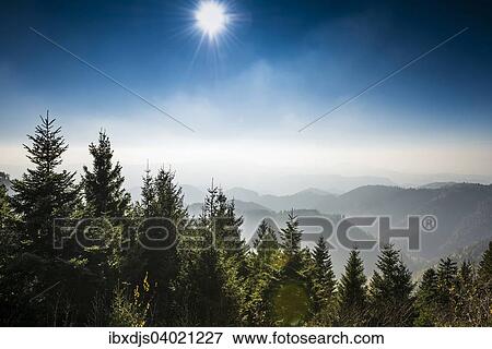 "On the Schliffkopf, Black Forest National Park, Black Forest, Baden-Wurttemberg, Germany, Europe" View Large Photo Image Stock Photo - "On the Schliffkopf, Black Forest National Park, Black Forest, Baden-Wurttemberg, Germany, Europe". Fotosearch
