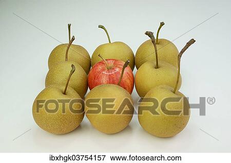 "One Braeburn apple amidst Nashi pears, Germany, Europe" View Large Photo Image Stock Photo - "One Braeburn apple amidst Nashi pears, Germany, Europe". Fotosearch