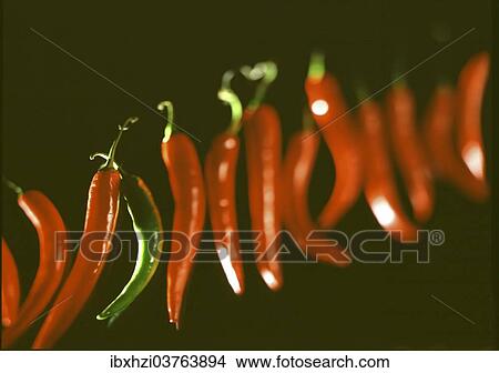 Picture - One green chili pepper between several red chili peppers. Fotosearch