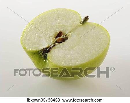 One half of a cut Bramley apple View Large Photo Image Stock Image - One half of a cut Bramley apple. Fotosearch
