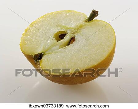 One half of a cut Russet apple View Large Photo Image Stock Photo - One half of a cut Russet apple. Fotosearch
