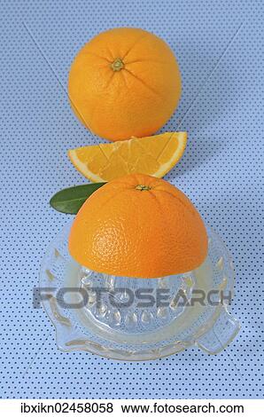 "Orange juicer made of glass, oranges" View Large Photo Image Stock Photo - "Orange juicer made of glass, oranges". Fotosearch