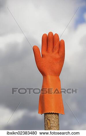 Orange rubber glove View Large Photo Image Stock Image - Orange rubber glove. Fotosearch