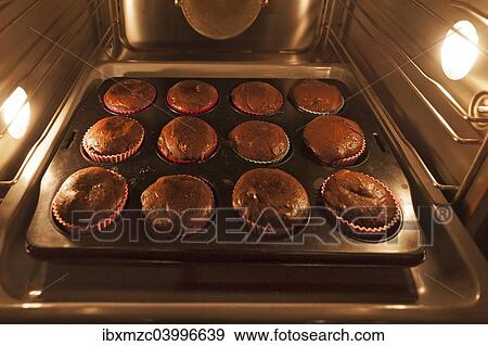 Oreo brownie cupcakes on a baking tray in the oven View Large Photo Image Stock Photo - Oreo brownie cupcakes on a baking tray in the oven. Fotosearch