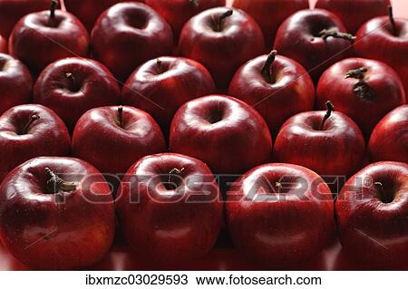 Stock Image - "Organic apples, Purple Cousinot, Eckenhaid, Ecktental, Middle Franconia, Bavaria, Germany, Europe". Fotosearch