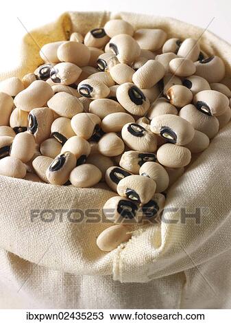 "Organic beans, black-eyed peas" View Large Photo Image Stock Image - "Organic beans, black-eyed peas". Fotosearch