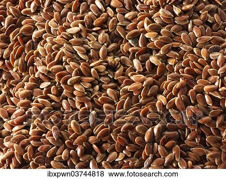 Organic brown linseed View Large Photo Image Stock Photo - Organic brown linseed. Fotosearch