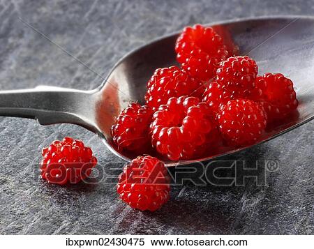 "Organic fruit, grapes or Japanese Rotborstige raspberries (Rubus phoenicolasius), on a spoon" View Large Photo Image Stock Photography - "Organic fruit, grapes or Japanese Rotborstige raspberries (Rubus phoenicolasius), on a spoon". Fotosearch
