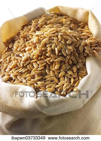Organic golden linseed View Large Photo Image Stock Photo - Organic golden linseed. Fotosearch