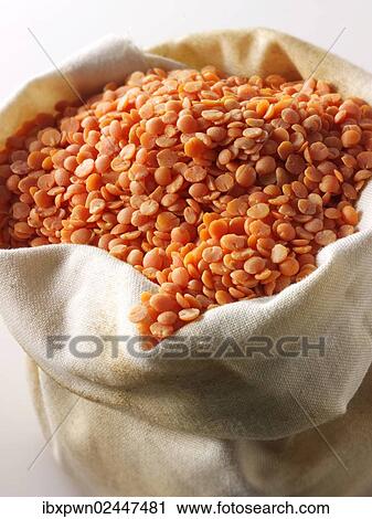 Organic orange lentils View Large Photo Image Stock Image - Organic orange lentils. Fotosearch