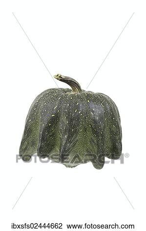 "Ornamental gourd variety, Striped Devil's Claw, crown, crown pumpkin" View Large Photo Image Stock Image - "Ornamental gourd variety, Striped Devil's Claw, crown, crown pumpkin". Fotosearch