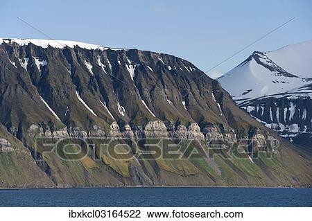 "Ornithocoprophilous vegetation below the bird cliffs of Fuglefjellet, Isfjorden, Grumantbyen, Spitsbergen Island, Svalbard Archipelago, Svalbard and Jan Mayen, Norway, Europe" View Large Photo Image Stock Image - "Ornithocoprophilous vegetation below the bird cliffs of Fuglefjellet, Isfjorden, Grumantbyen, Spitsbergen Island, Svalbard Archipelago, Svalbard and Jan Mayen, Norway, Europe". Fotosearch