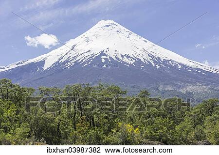 "Osorno Volcano, Parc Nacional Vicente Perez Rosales, Puerto Varas, Los Lagos Region, Chile, South America" View Large Photo Image Stock Image - "Osorno Volcano, Parc Nacional Vicente Perez Rosales, Puerto Varas, Los Lagos Region, Chile, South America". Fotosearch
