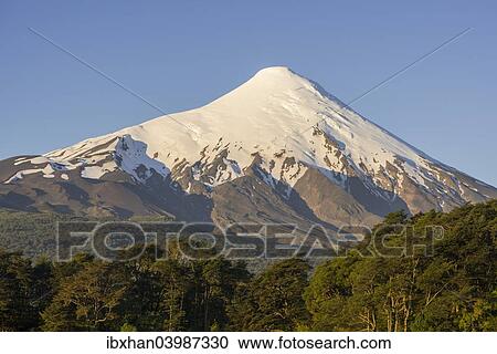 "Osorno volcano, Puerto Varas, Los Lagos Region, Chile, South America" View Large Photo Image Stock Image - "Osorno volcano, Puerto Varas, Los Lagos Region, Chile, South America". Fotosearch