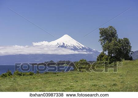 "Osorno volcano, Puerto Varas, Los Lagos Region, Chile, South America" View Large Photo Image Stock Photo - "Osorno volcano, Puerto Varas, Los Lagos Region, Chile, South America". Fotosearch