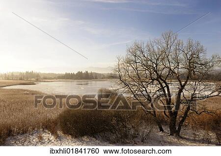 "Osterseen Lakes near Seeshaupt, Starnberg district, Bavaria, Germany, Europe" View Large Photo Image Stock Image - "Osterseen Lakes near Seeshaupt, Starnberg district, Bavaria, Germany, Europe". Fotosearch