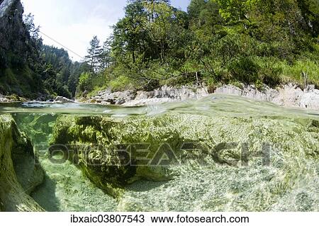 "Otscherbach stream in Otschergraben gorge, near Mitterbach am Erlaufsee, Ybbstaler Alps, Lower Austria, Austria, Europe" View Large Photo Image Stock Image - "Otscherbach stream in Otschergraben gorge, near Mitterbach am Erlaufsee, Ybbstaler Alps, Lower Austria, Austria, Europe". Fotosearch