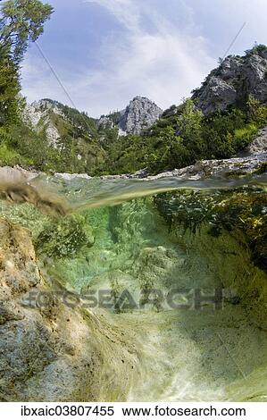 "Otscherbach stream in Otschergraben gorge, near Mitterbach am Erlaufsee, Ybbstaler Alps, Lower Austria, Austria, Europe" View Large Photo Image Stock Photography - "Otscherbach stream in Otschergraben gorge, near Mitterbach am Erlaufsee, Ybbstaler Alps, Lower Austria, Austria, Europe". Fotosearch