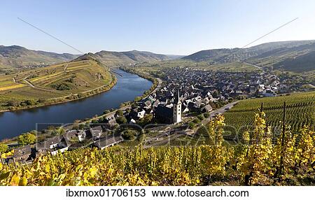 "Overlooking Bremner with a Moselle bend, Landkreis Cochem-Zell district, Rhineland-Palatinate, Germany, Europe" View Large Photo Image Stock Image - "Overlooking Bremner with a Moselle bend, Landkreis Cochem-Zell district, Rhineland-Palatinate, Germany, Europe". Fotosearch