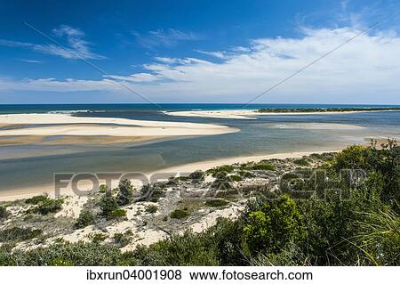 Stock Photo - "Overlooking scrubland and sand dunes of Cape Conran Coastal Park, Victoria, Australia, Oceania". Fotosearch