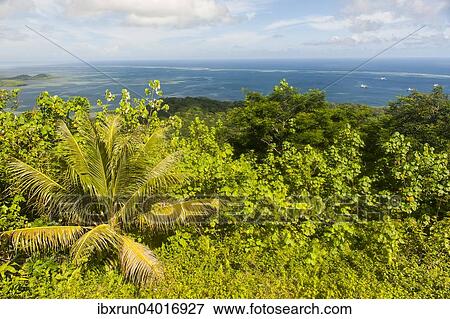 "Overlooking the island of Pohnpei, Micronesia, Oceania" View Large Photo Image Stock Photo - "Overlooking the island of Pohnpei, Micronesia, Oceania". Fotosearch
