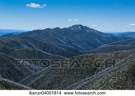 "Overlooking the Victorian Alps mountain range, Victoria, Australia, Oceania" View Large Photo Image Picture - "Overlooking the Victorian Alps mountain range, Victoria, Australia, Oceania". Fotosearch