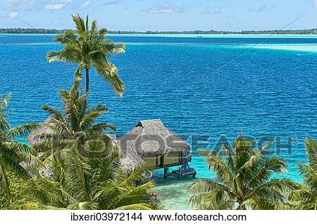 "Overwater bungalow, South Pacific, Bora Bora, French Polynesia, Oceania" View Large Photo Image Picture - "Overwater bungalow, South Pacific, Bora Bora, French Polynesia, Oceania". Fotosearch