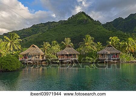 "Overwater bungalows, evening atmosphere, Moorea, French Polynesia, Oceania" View Large Photo Image Picture - "Overwater bungalows, evening atmosphere, Moorea, French Polynesia, Oceania". Fotosearch