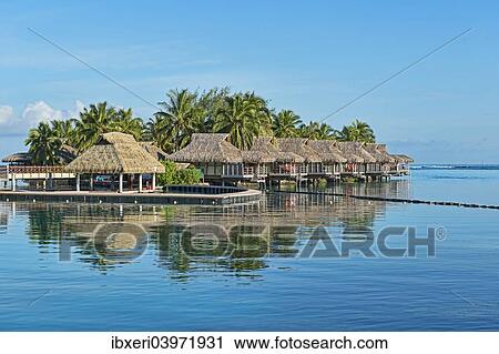 "Overwater bungalows, Moorea, French Polynesia, Oceania" View Large Photo Image Stock Image - "Overwater bungalows, Moorea, French Polynesia, Oceania". Fotosearch