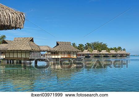 "Overwater bungalows, Moorea, French Polynesia, Oceania" View Large Photo Image Stock Photo - "Overwater bungalows, Moorea, French Polynesia, Oceania". Fotosearch