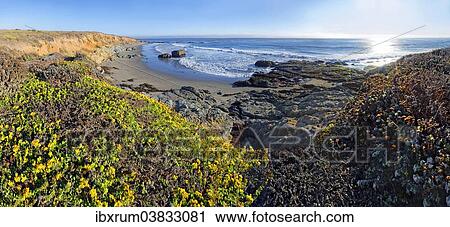 Stock Image - "Pacific beach overgrown with mosses and lichen near Cambria, California, United States, North America". Fotosearch