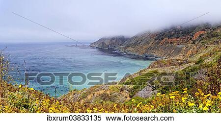"Pacific coast near Landels-Hill Big Creek, California, United States, North America" View Large Photo Image Stock Photography - "Pacific coast near Landels-Hill Big Creek, California, United States, North America". Fotosearch