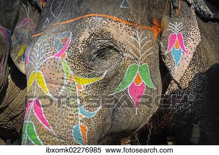 Stock Photography - "Painted elephant, Amber or Amer Fort, Amer Palace, Jaipur, Rajasthan, India, Asia". Fotosearch