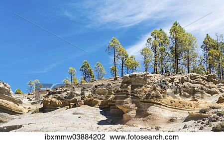 "Paisaje Lunar, """"lunar landscape"""", Vilaflor, Tenerife, Canary Islands, Spain, Europe" View Large Photo Image Stock Image - "Paisaje Lunar, """"lunar landscape"""", Vilaflor, Tenerife, Canary Islands, Spain, Europe". Fotosearch
