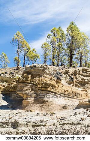 "Paisaje Lunar, """"lunar landscape"""", Vilaflor, Tenerife, Canary Islands, Spain, Europe" View Large Photo Image Stock Photography - "Paisaje Lunar, """"lunar landscape"""", Vilaflor, Tenerife, Canary Islands, Spain, Europe". Fotosearch