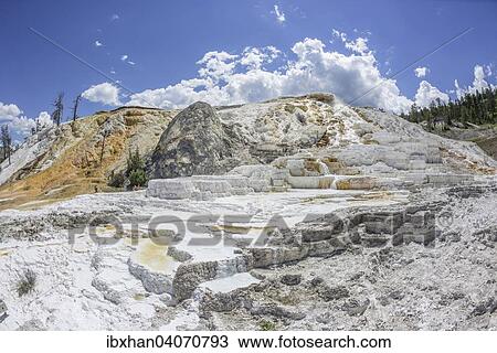 "Palette Spring sinter terrace of the Lower Terrace, Mammoth Hot Springs, Yellowstone National Park, Wyoming, United States, North America" View Large Photo Image Stock Image - "Palette Spring sinter terrace of the Lower Terrace, Mammoth Hot Springs, Yellowstone National Park, Wyoming, United States, North America". Fotosearch