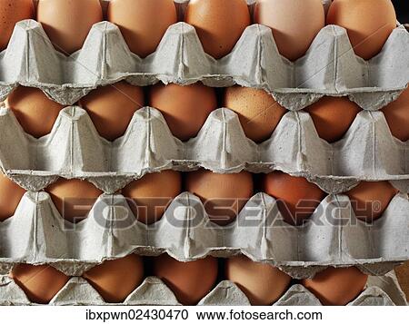Stock Image - Palettes with fresh brown eggs from free-range. Fotosearch