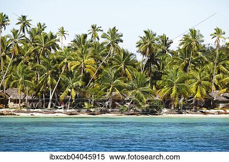 "Palm beach, South Seas, Plantation Island or Malolo Lailai, Mamanuca Islands, Fiji, Oceania" View Large Photo Image Stock Photography - "Palm beach, South Seas, Plantation Island or Malolo Lailai, Mamanuca Islands, Fiji, Oceania". Fotosearch