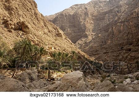 Stock Photo - "Palm grove and cliffs covered in debris in Wadi Shab, Sultanate of Oman, Middle East". Fotosearch
