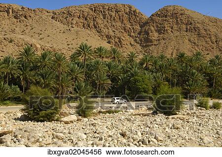 "Palm grove in an oasis in the Al Hajar or Hajjar Mountains, Sultanate of Oman, Middle East" View Large Photo Image Stock Photograph - "Palm grove in an oasis in the Al Hajar or Hajjar Mountains, Sultanate of Oman, Middle East". Fotosearch