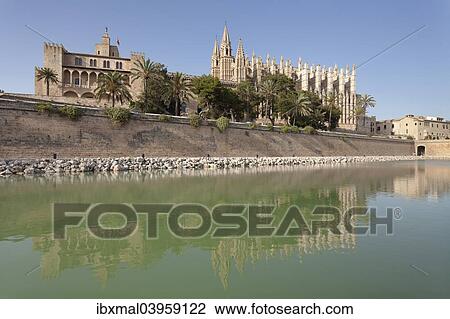 "Palma Cathedral at the marine park Parc de la Mar, Palma de Majorca, Majorca, Balearic Islands, Spain, Europe" View Large Photo Image Stock Image - "Palma Cathedral at the marine park Parc de la Mar, Palma de Majorca, Majorca, Balearic Islands, Spain, Europe". Fotosearch